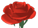 love blooms like flowers but it takes a good gardener to know what to do with it