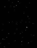 stars are like the preetiest and most mysterious thangs created by God.