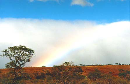 Just imagine, God has the prettiest paint brush ever!